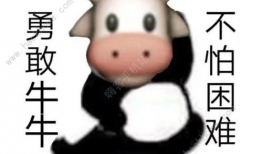 牛牛在线观看视频,畅享海量视频，轻松开启视听盛宴