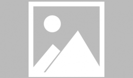 消防车动画片视频大全,动画视频大全精彩回顾